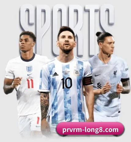 龙8国际 APP